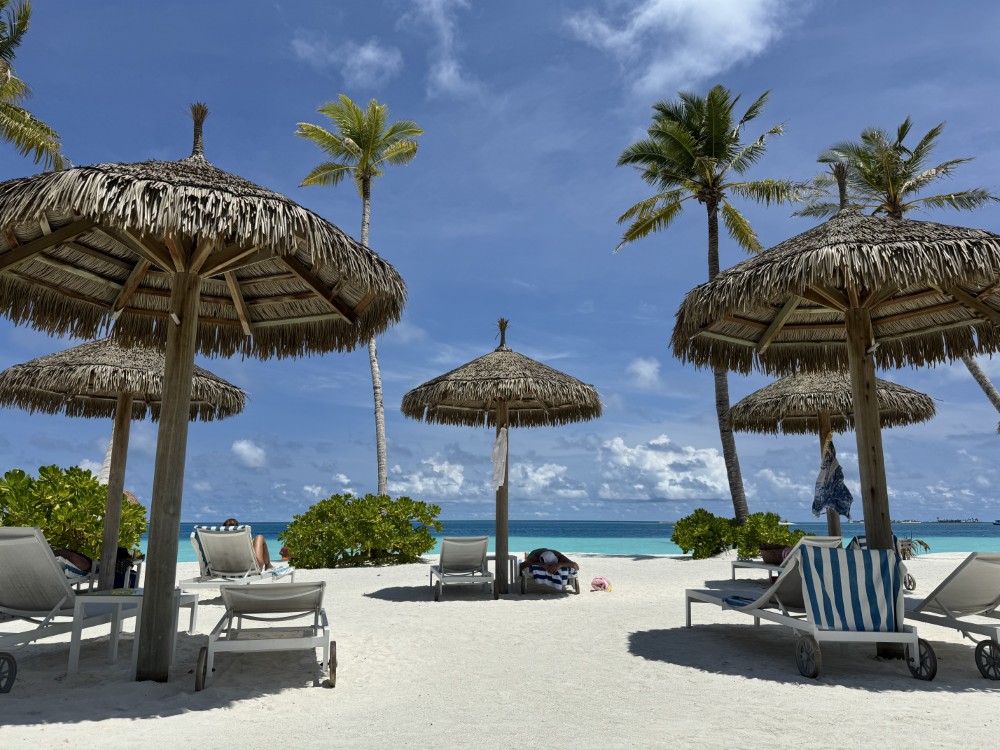joyisland_palmbeach_5