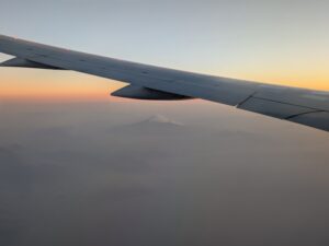 sleep-well-on-a-plane (2)